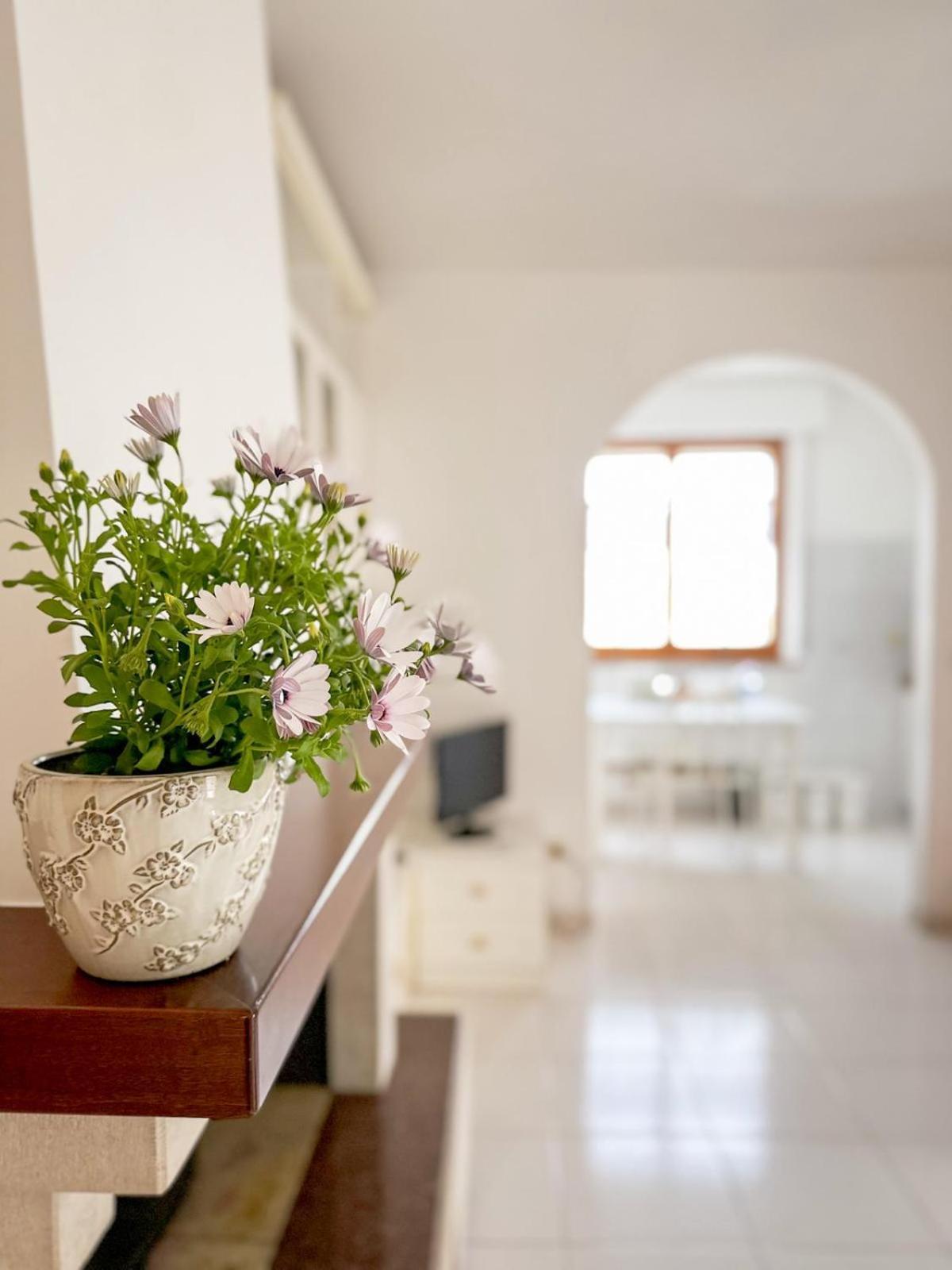 La Casa Di Lory Daire Falconara Marittima Dış mekan fotoğraf